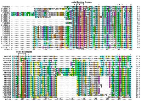 protein sequence databases bioinformatics class notes fiveable