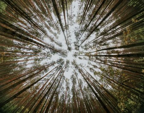 perspective everyday spirituality