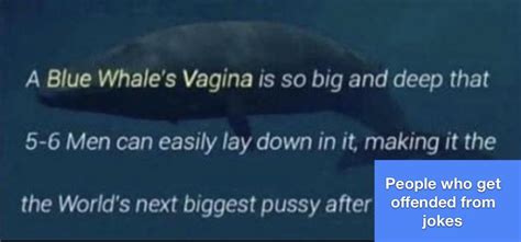 The Worlds Biggest Pussy Award Goes Toooooooo R Dankmemes