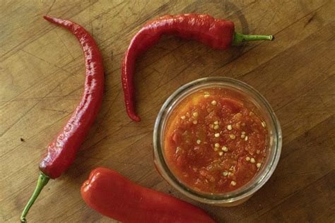 Fermented Hot Sauce SAUCE SANDWICH