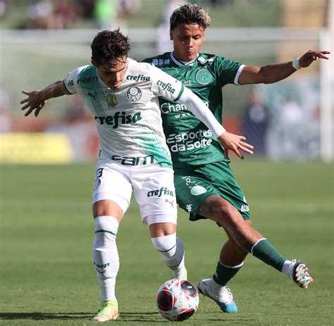 Veiga Lamenta Gol Perdido Mas Minimiza Empate Do Palmeiras Fizemos O