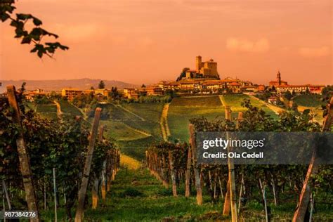 1,610 Dalba Stock Photos, High-Res Pictures, and Images - Getty Images