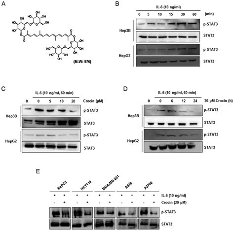 Saffron Carotenoids Inhibit Stat3 Activation And Promote Apoptotic