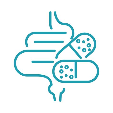 Probiotics for Belly Fat – Magnolia Pharmacy - TX