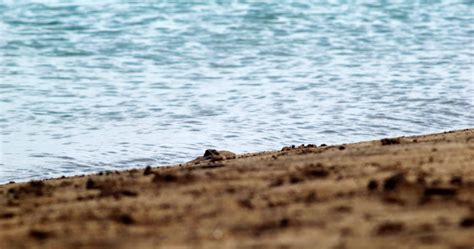 Gran Canaria Beach In Spain 22143632 Stock Video at Vecteezy