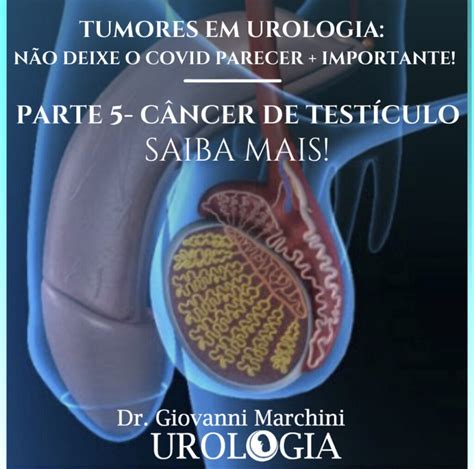 O Que E Saco Escrotal - Doença Do Saco Escrotal - NAZAEDU