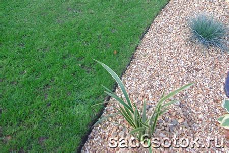 Создание идеальных кромок газона - Сад 6 соток