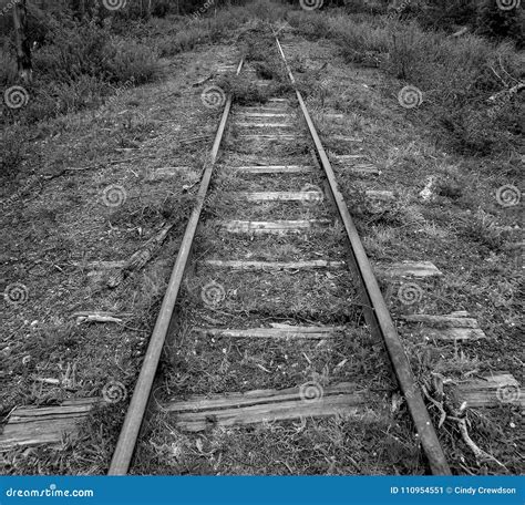 Old Unused Railroad Tracks Found In Canada Stock Image Image Of