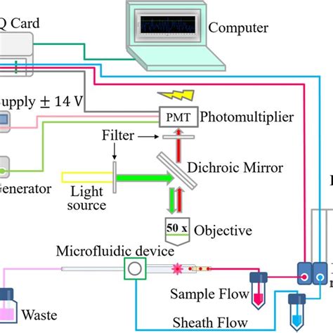 Schematic Of 3d Hydrodynamic Focus Microfluidic Device Assembled Using