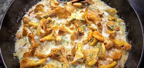 Рецепт лисичок в сметані: як смачно та швидко приготувати лисички ...