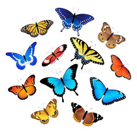 Conjunto De Mariposas Coloridas Ilustraci N Del Vector Ilustraci N De