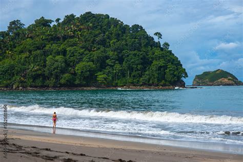 A Beautiful Girl In A Pink Bikini Walks Along The Ocean Shore Of A Tropical Beach With Palm