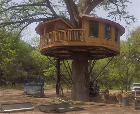 Livable Tree House Floor Plans Floor Roma