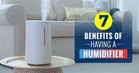 Benefits Of Having A Humidifier Bobs Climate Control