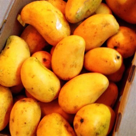 Delicious Champagne Mangos