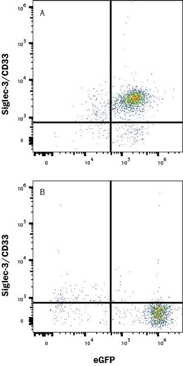 Siglec 3 CD33 Products Bio Techne