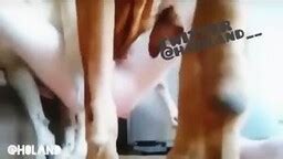 대꼴 영상 모음 2탄1 Avgle Best JAV Porn Videos