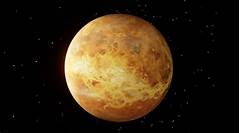 Venus Williams Net Worth