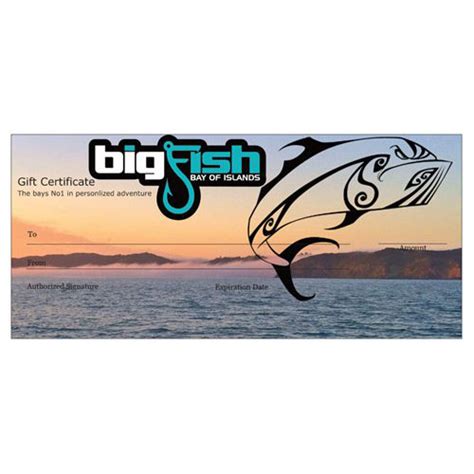 T Certificates Big Fish Bay Of Islands