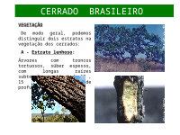 Ppt Geografia Ppt Biomas Brasileiros Cerrado Brasileiro Dokumen