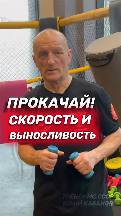 Тренажер для скорости удара. Бокс. #shorts - YouTube