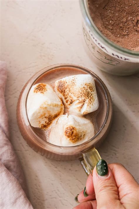 Homemade Dairy Free Hot Chocolate Mix What Great Grandma Ate