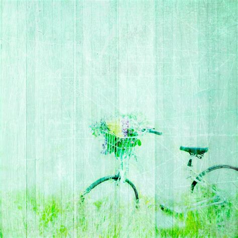 Free Images : branch, vintage, retro, texture, flower, bike, decoration, green, paper, page ...