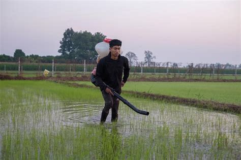 Premium Photo A Farmer From Asia Is Using A Knapsack Mist Duster To