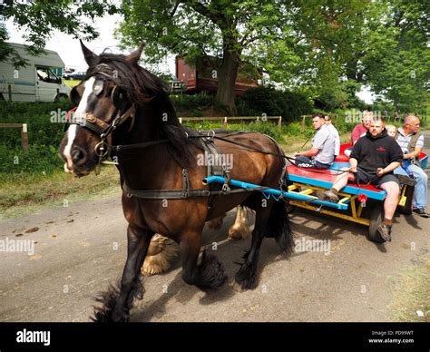 Horse Pulling Cart Hi Res Stock Photography And Images Alamy