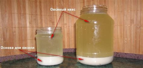 Овсяный кисель Изотова - польза и вред, отзывы, рецепт