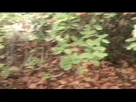 Latina Hambrienta Se Encarga De Este Geek Se Lo Folla Y Luego Se Traga Su Semen XVIDEOS