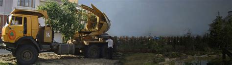 Парк Сервис - ландшафтное предприятие, питомник растений и саженцев Казань