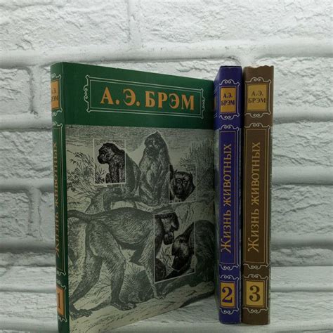 Жизнь животных (комплект из 3 книг). Брэм А. Э., Терра, 1992г., 9-408 ...