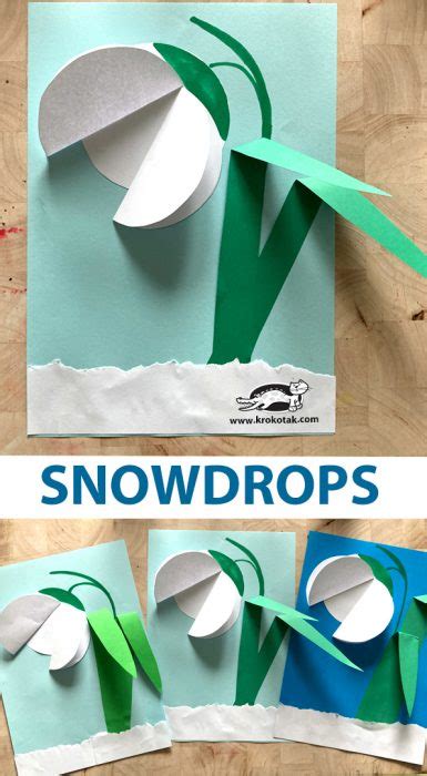 Krokotak Snowdrop
