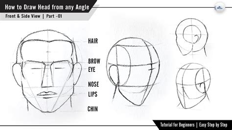 How To Draw A Head From Any Angle Part 01 Front And Side View