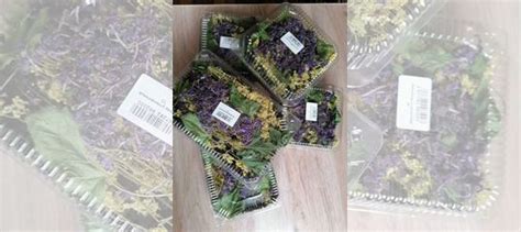 Иван-чай купить в Красноярске | Товары для дома и дачи | Авито