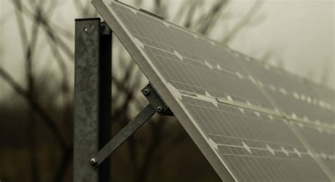 Explain the Concept of 'Biological Half-Life' for a Heavy Metal in an