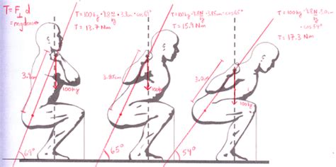 BIOMECHANICS APPLIED TO LEG TRAINING — SCOPE