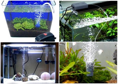 Аэрация в аквариуме: подробная инструкция для новичков