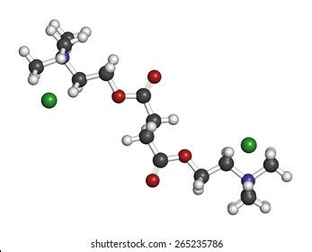 Suxamethonium Chloride Succinylcholine Muscle Relaxant Drug Stock Illustration 265235786 ...