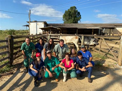 Alunos de Medicina Veterinária confirmam primeira gestação na Fazenda