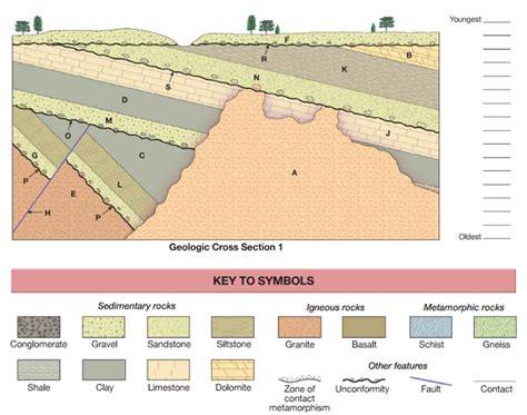 Solved Examine the Geologic Cross Section and review the | Chegg.com