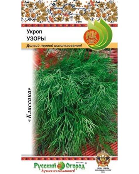 Укроп Кибрай Характеристика И Описание Сорта Фото — Фото Картинки