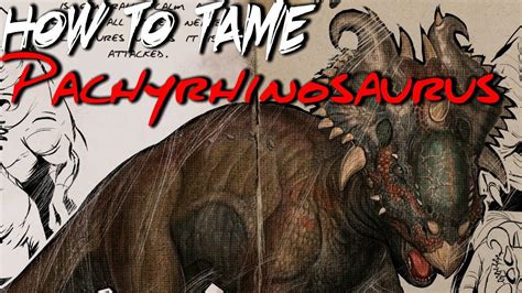 Ark How To Tame Pachyrhinosaurus Youtube