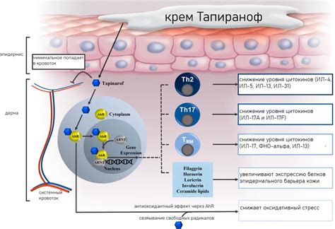 Тапинароф - новый крем для лечения атопического дерматита - педиатр ...