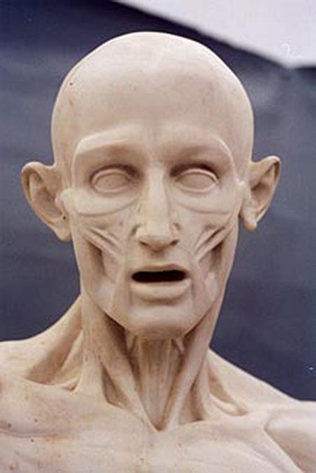 Classic Realism: Jean-Antoine Houdon's Ecorche