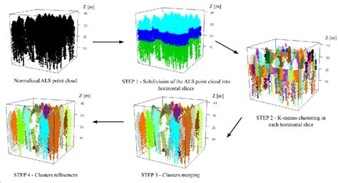 Overview Of The 3d Individual Tree Crown Delineation Method Z