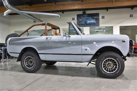 International Scout Ii Cage