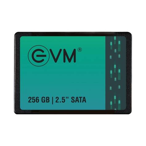 256GB SSD 2.5" INCH SATA