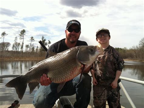 Неочевидный BOWFISHING по-русски, или национальные особенности охоты с ...